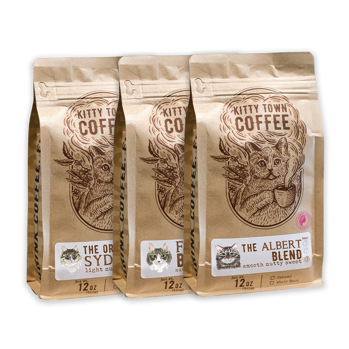 Kitty Town Coffee 3 Bag Coffee Sampler: Albert, Fezzik, Sydney