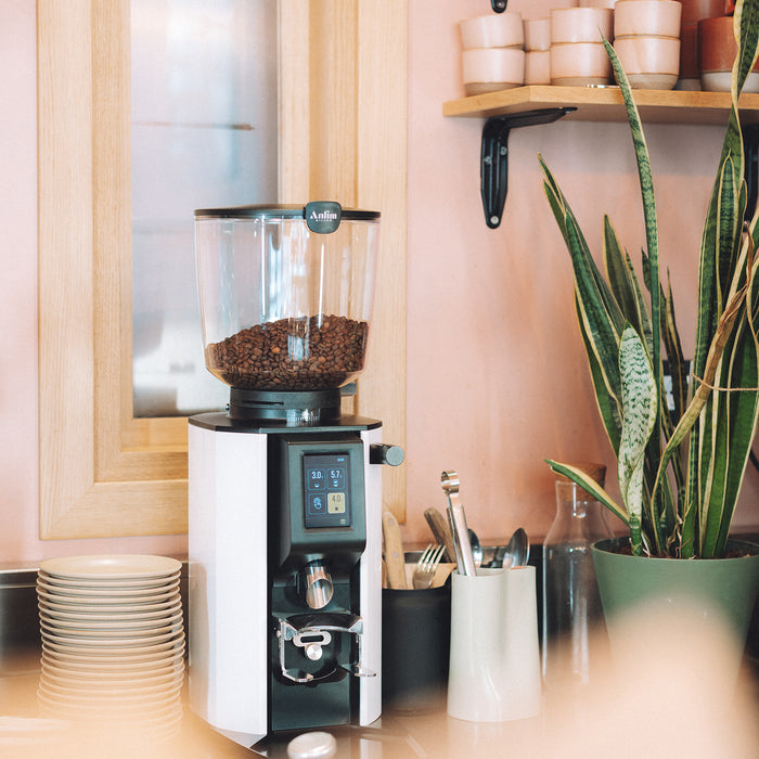 Anfim Milano Alba Professional Grinder