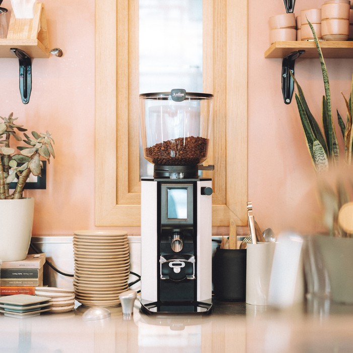 Anfim Milano Alba Professional Grinder